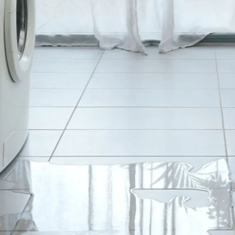 Appliance Leak Cleanup in Dodge County, MN