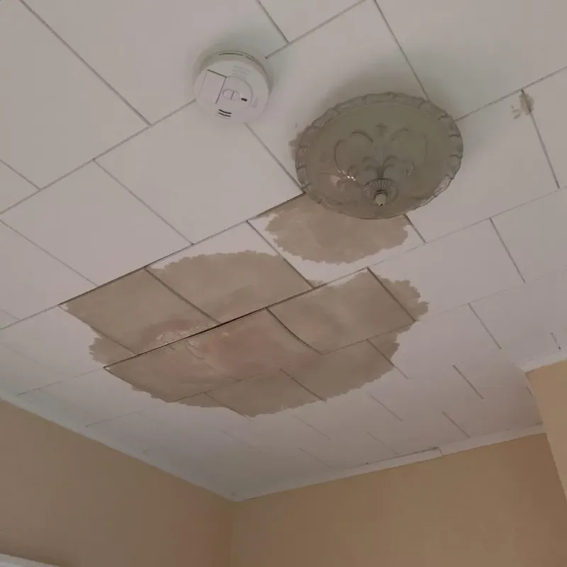 Ceiling Water Damage Repair in Dodge County, MN