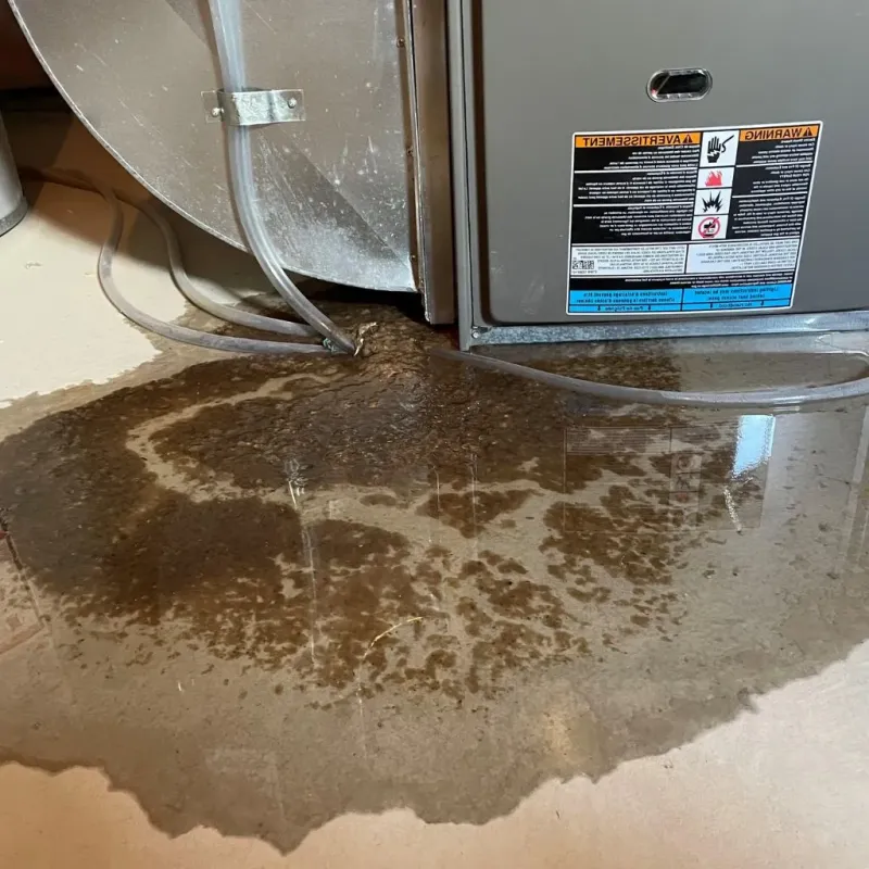 Pipe Burst and Leak Restoration in Dodge County, MN